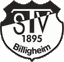 Avatar Bild für TSV Billigheim