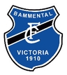 Avatar Bild für FC VICTORIA BAMMENTAL E.V.