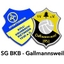 Avatar Bild für SG Boll-Krumb.-Biet./Gallmannsw. 2