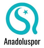 Avatar Bild für Anadolu Spor Baunatal