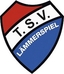 Avatar Bild für TSV Lämmerspiel III