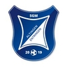 Avatar Bild für TSV Altingen