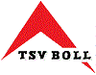 Avatar Bild für TSV Boll