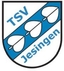 Avatar Bild für TSV Jesingen