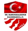 Avatar Bild für Türk Pamukkalespor Haigerloch