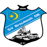 Avatar Bild für SV Braubach