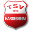 Avatar Bild für TSV Hargesheim II