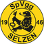 Avatar Bild für SpVgg Selzen II