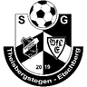 Avatar Bild für SpVgg. Theisbergstegen