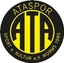 Avatar Bild für Ataspor Worms