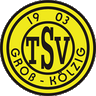 Avatar Bild für TSV 1903 Groß Kölzig