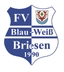 Avatar Bild für FV Blau-Weiß 90 Briesen II