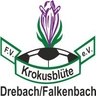 Avatar Bild für FV Krokusblüte Drebach / Falkenbach