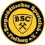 Avatar Bild für BSC Freiberg 2