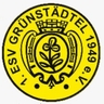 Avatar Bild für 1. ESV Grünstädtel 49