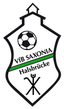 Avatar Bild für VfB Saxonia Halsbrücke