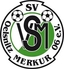 Avatar Bild für SV Merkur 06 Oelsnitz 2