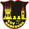 Avatar Bild für TSV Radeburg 1862