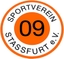 Avatar Bild für SV 09 Staßfurt