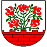 Avatar Bild für SV Rot-Weiß Groß Rosenburg