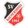 Avatar Bild für Baumersrodaer SV 1961