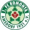 Avatar Bild für 1.FC Romonta Amsdorf 1921