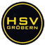 Avatar Bild für HSV Gröbern