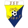 Avatar Bild für FSV Lucka 1910 e.V.