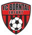 Avatar Bild für FC Borntal Erfurt I