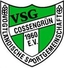 Avatar Bild für VSG 1960 Cossengrün