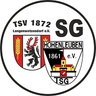 Avatar Bild für TSV 1872 Langenwetzendorf e.V.