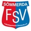 Avatar Bild für FSV Sömmerda