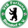 Avatar Bild für VFB Fortuna Biesdorf e.V.