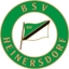 Avatar Bild für BSV Heinersdorf