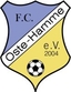 Avatar Bild für FC Oste-Hamme