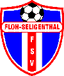 Avatar Bild für FSV Floh-Seligenthal