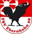 Avatar Bild für FSV Ebernhahn