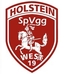 Avatar Bild für SpVgg Holstein-West II (9er)