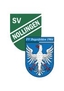 Avatar Bild für SG Nollingen/Degerfelden