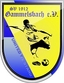 Avatar Bild für SV Gammelsbach