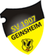 Avatar Bild für SV 07 Geinsheim