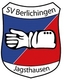 Avatar Bild für SGM SV Berlichingen/Schöntal (9er)