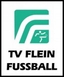 Avatar Bild für TV Flein II