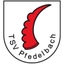 Avatar Bild für TSV Pfedelbach