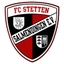 Avatar Bild für SGM FC Stetten-Salmendingen/TV Melchingen/SGSL Hörschwag