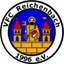 Avatar Bild für SG VFC Reichenbach2/Heinsdorfergrund2 2