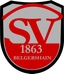 Avatar Bild für SV 1863 Belgershain